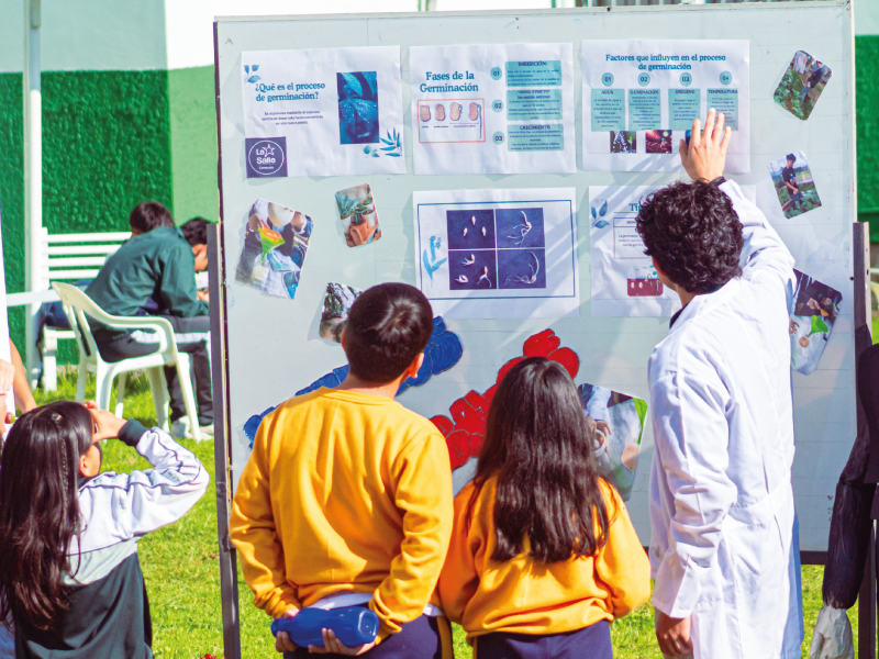 BM-DEFENSA-PROYECTO-CAS